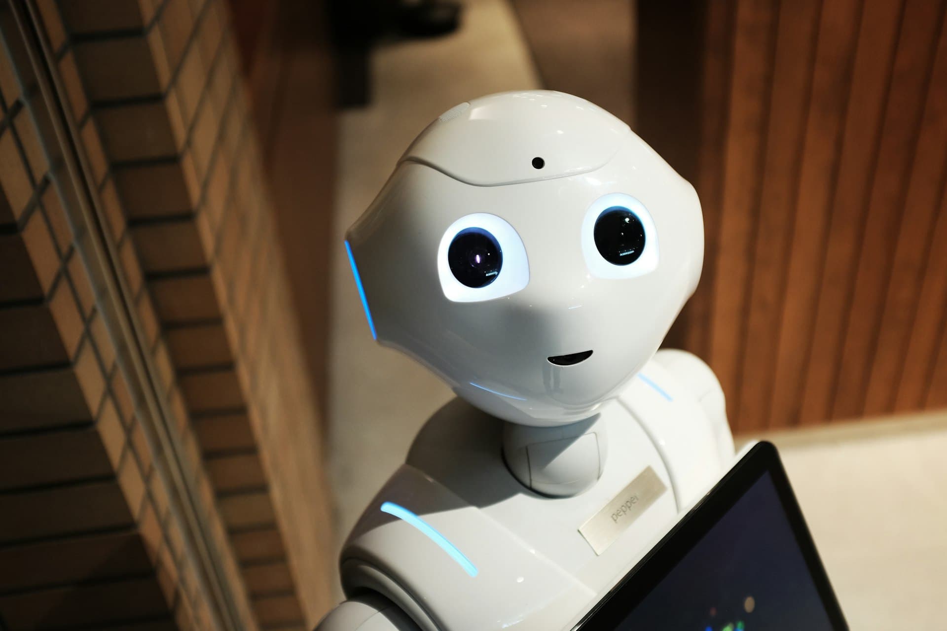Humanoid robot assistant looking toward the camera